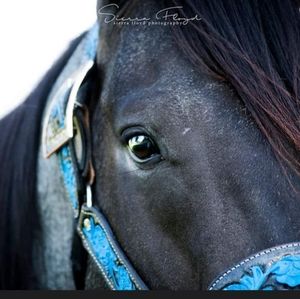 Meet your Posher, Deborah